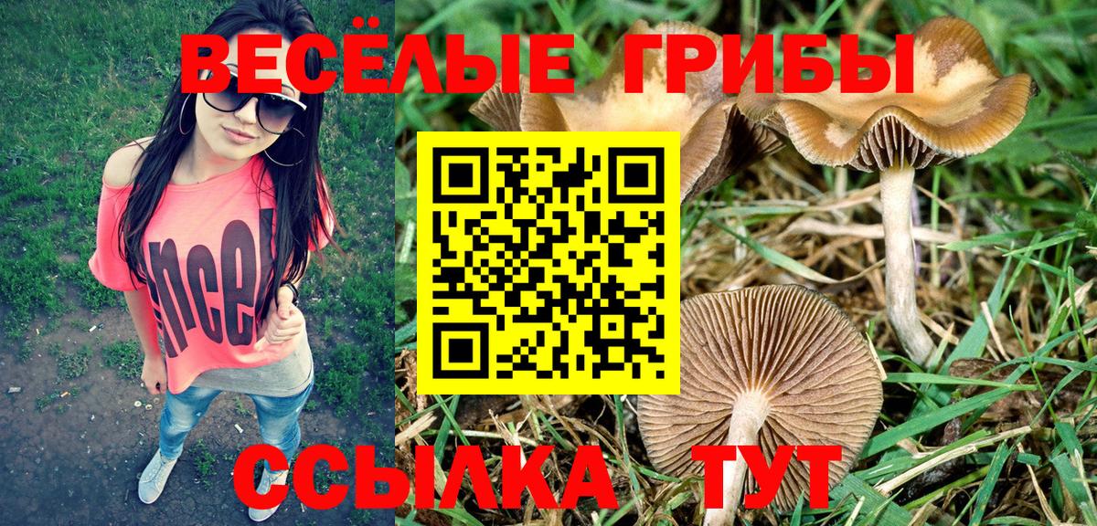 Трёхгорный  Псилоцибиновые грибы прущие грибы  Вход с VPN 