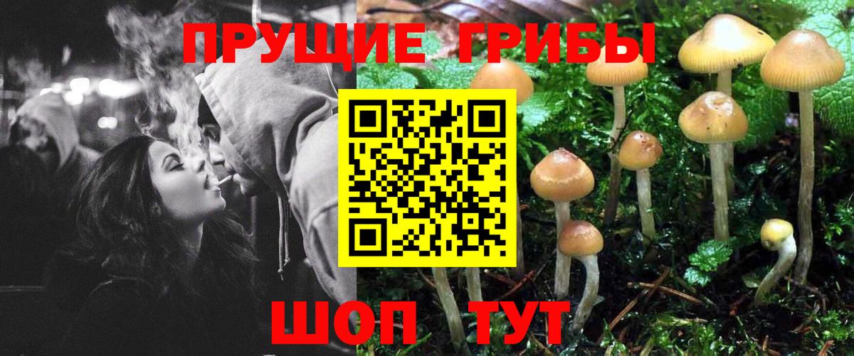Галлюциногенные грибы мухоморы Трёхгорный